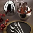 Fecra Silver Egg Standlı 24 Parça Çatal Kaşık Bıçak Takımı resmi